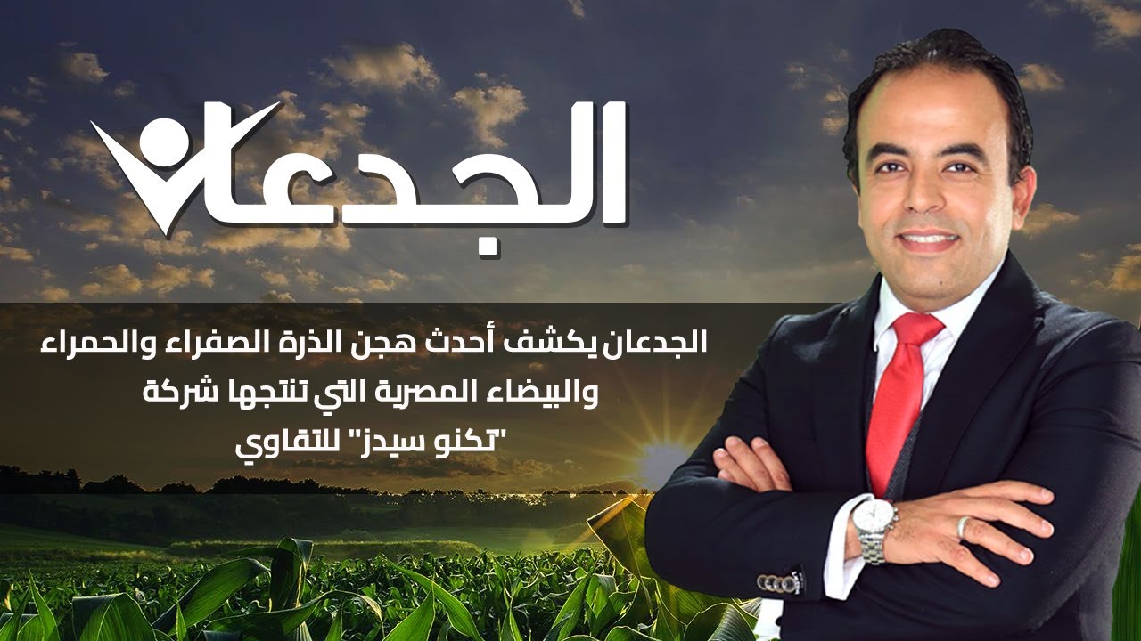 الجدعان يكشف أحدث هجن الذرة الصفراء والحمراء والبيضاء المصرية التي تنتجها شركة 