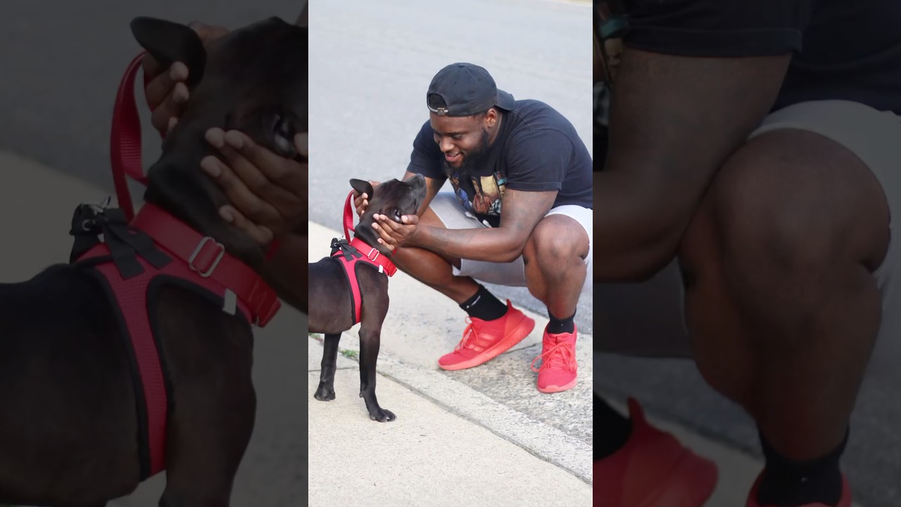 Birthday Dog Celebrates 6 Years of LOVE