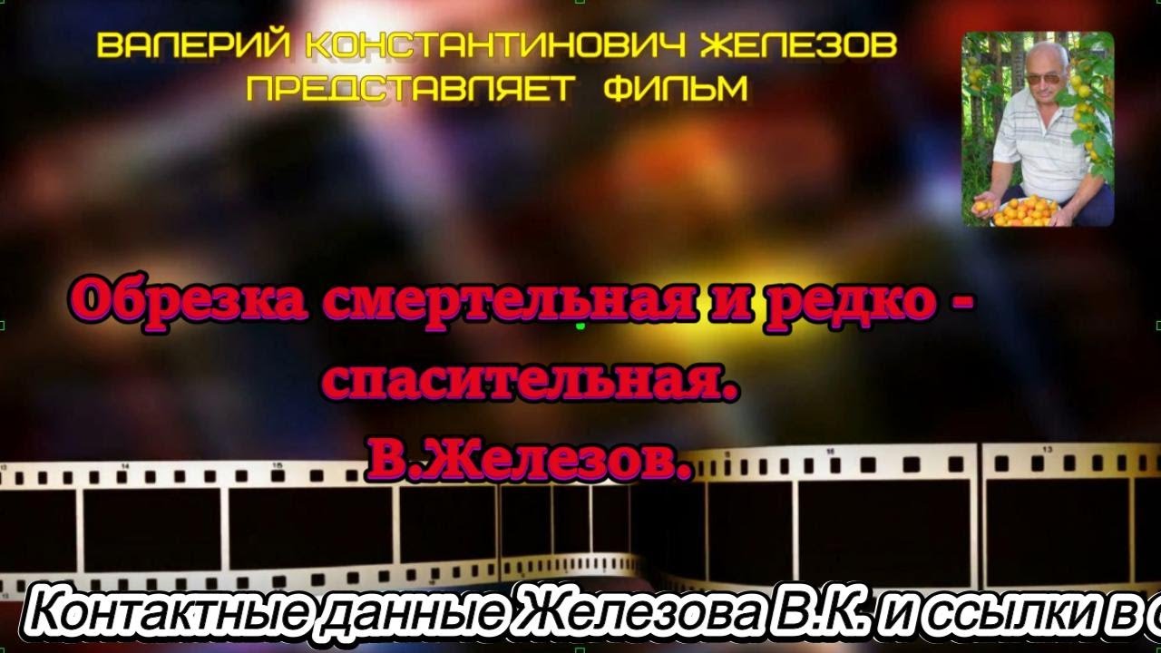 https://vkvideo.ru/clip-73421341_456239875