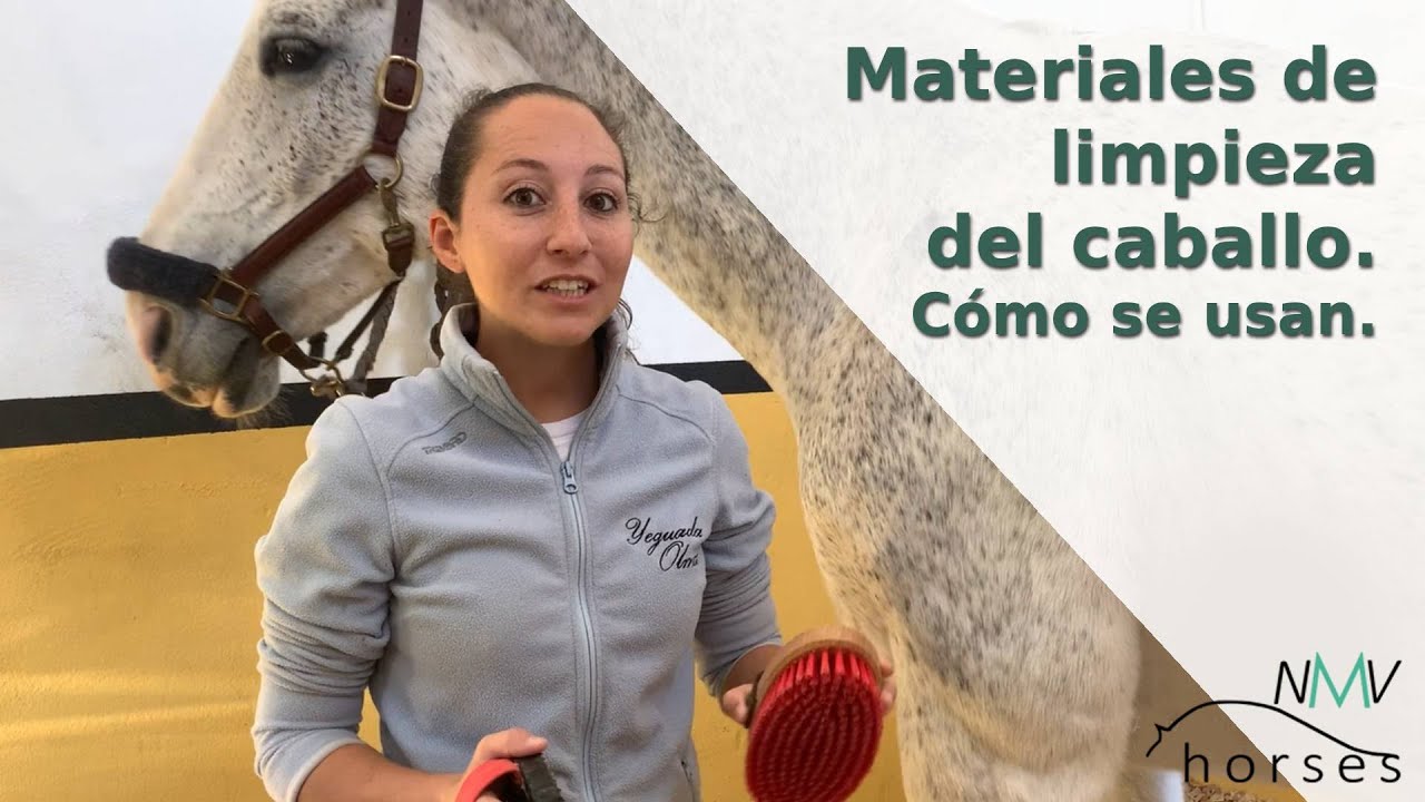 🐴Cómo cepillar a tu caballo 🐴Materiales de limpieza ¿Los usas correctamente?🐴