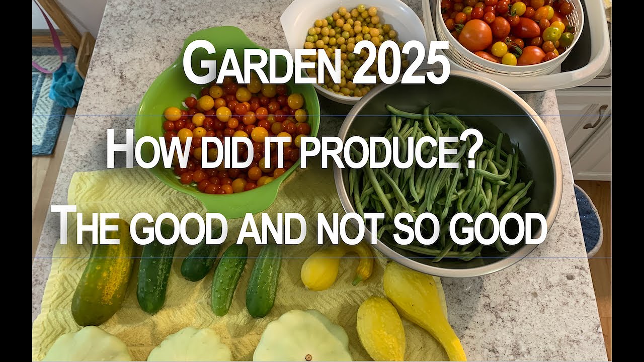 How Did My Garden Produce? 2025