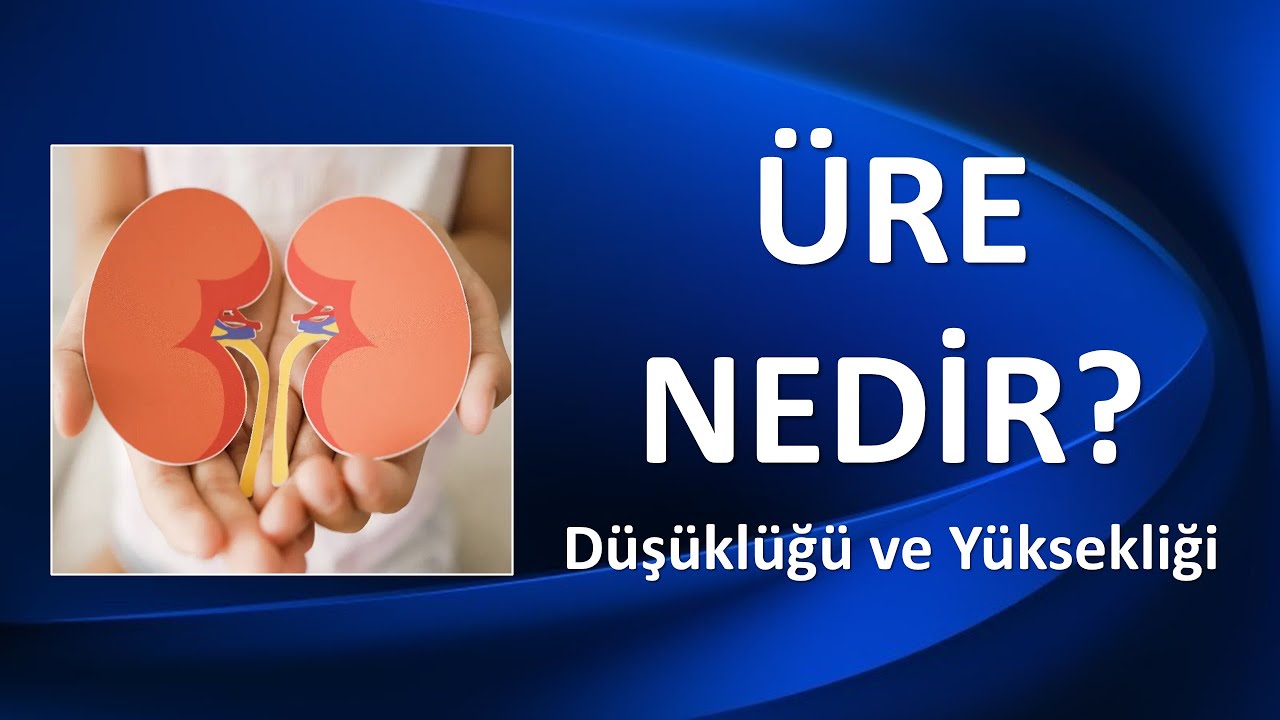 &Uuml;RE NEDİR? D&uuml;ş&uuml;kl&uuml;ğ&uuml; ve Y&uuml;ksekliği Ne Anlama Gelir?