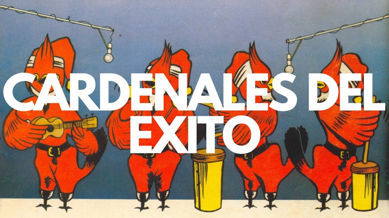 Mix gaitero de Cardenales del Exito 🟡🔵🔴 | Grandes éxitos