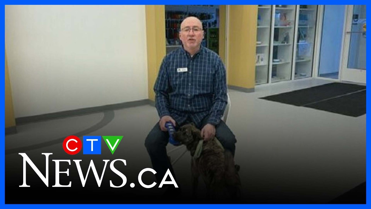 Meet the Regina Humane Society's latest Pet of the Week
