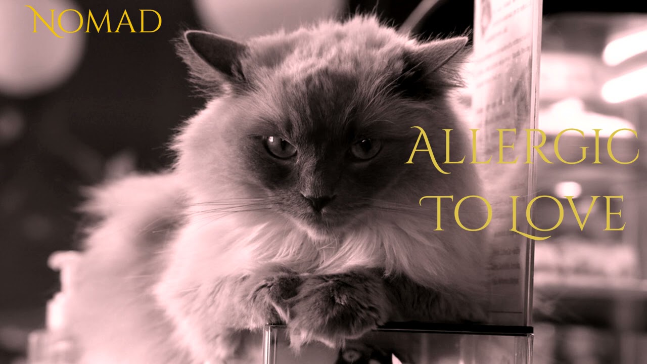 Allergic To Love[M4A][Friends To Lovers][Cat Café][Hidden Allergies][Coffee Date][Cute]
