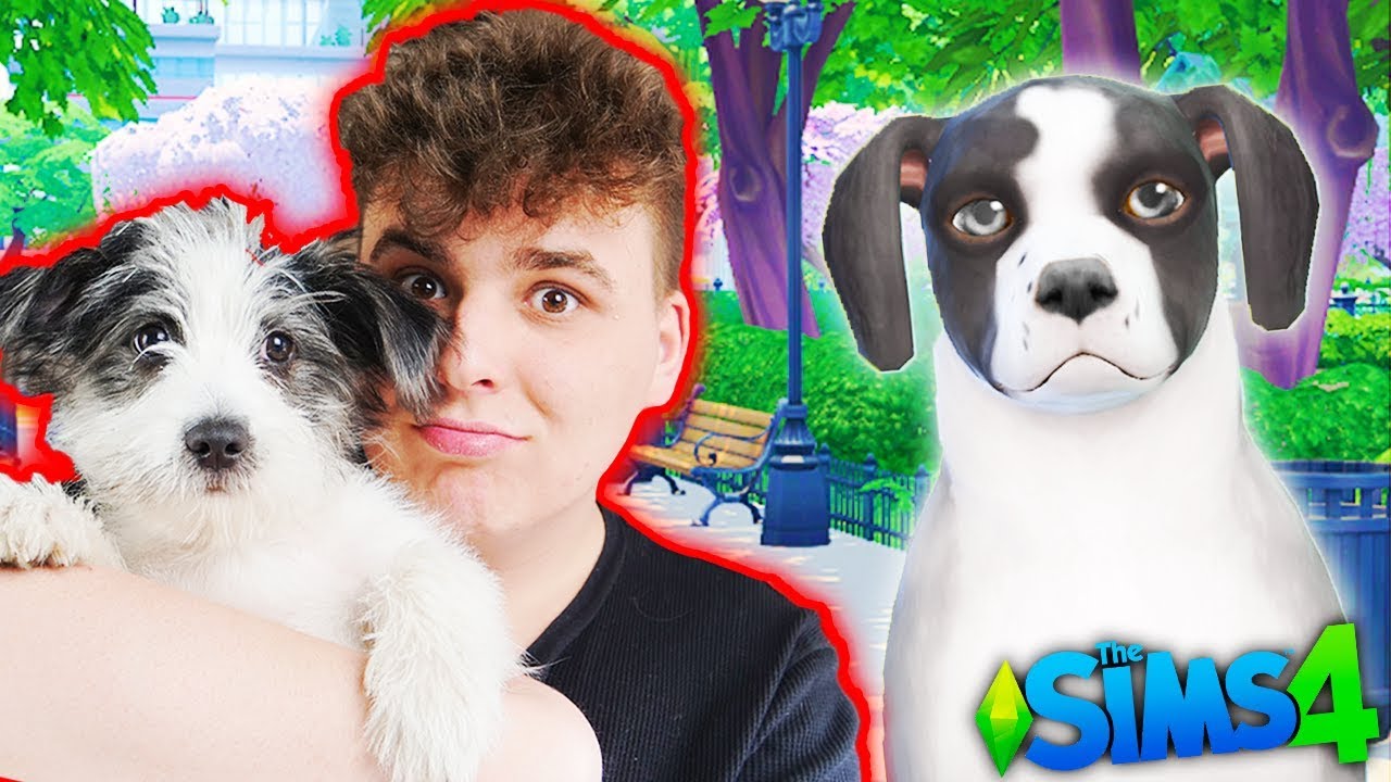 ZROBIŁEM SWOJEGO PSA w THE SIMS 4!! *Jest prawie identyczny*