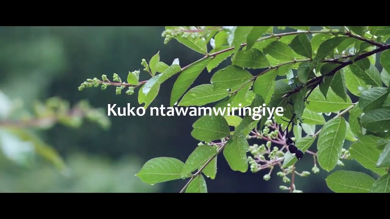 Abiringiye Uwiteka | Sinai H Singers