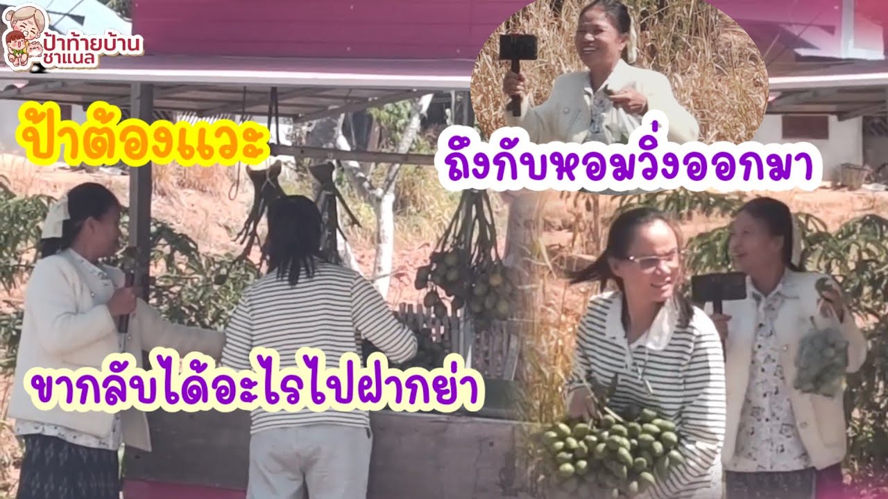 ระหว่างทางกับจำปาดงป้าแวะซื้ออะไรไปฝากย่าภา