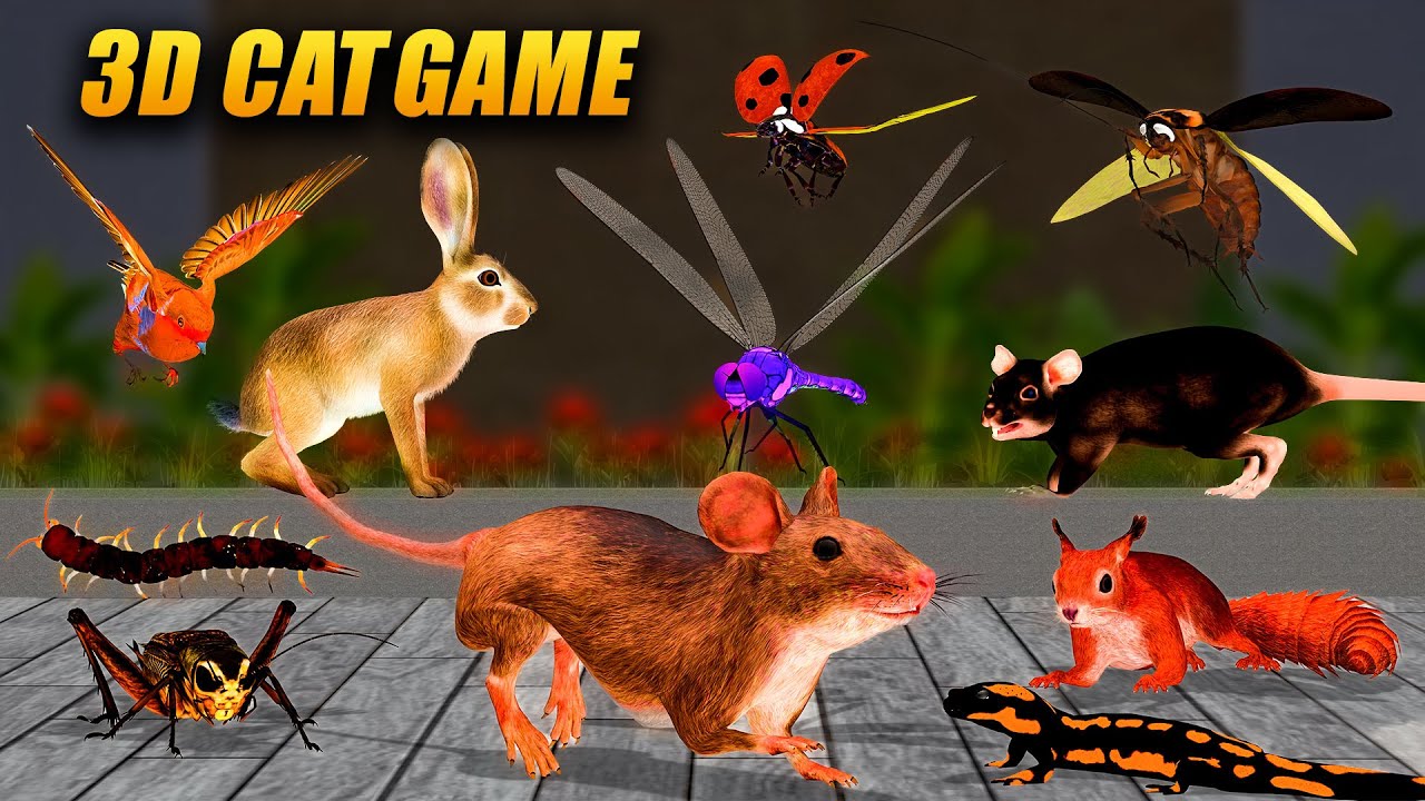 3D Cat Game 🐾 Mice, Birds & Insects Hunt | Ultimate Cat TV to Watch