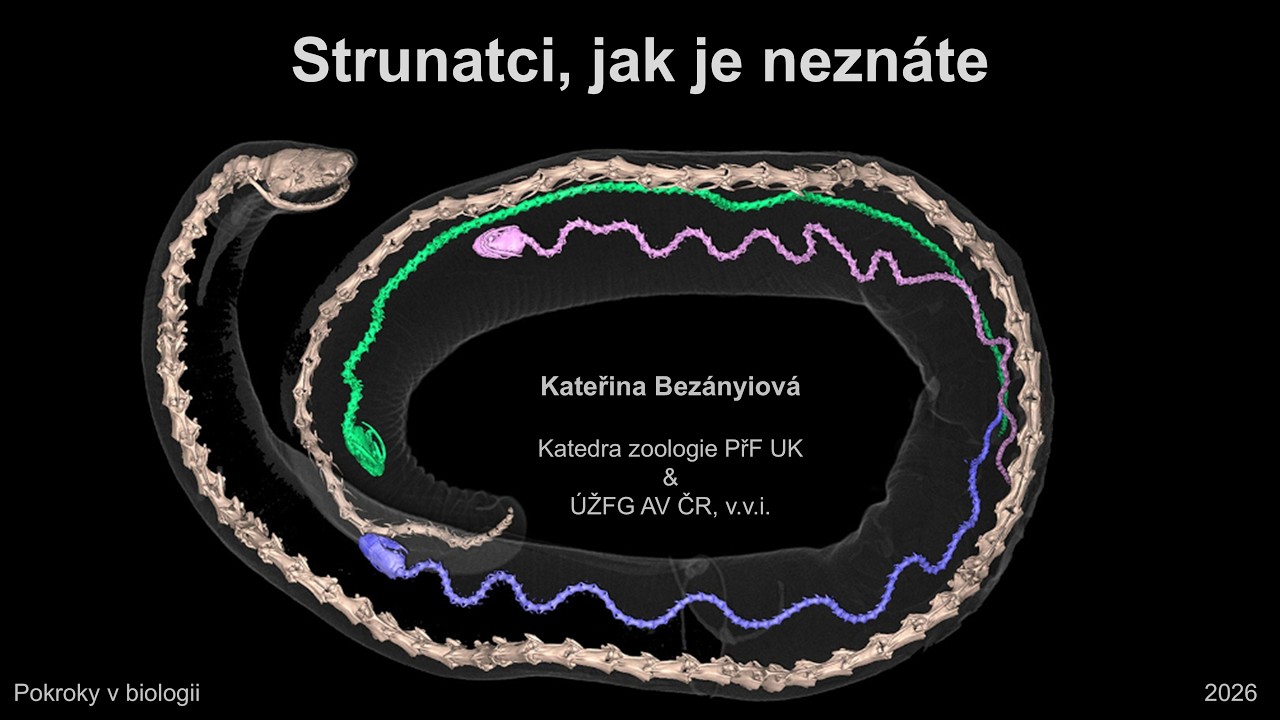 Pokroky v biologii 2026 (3.3) Kateřina Bezányiová: Strunatci (PřF UK 7.2.2026)