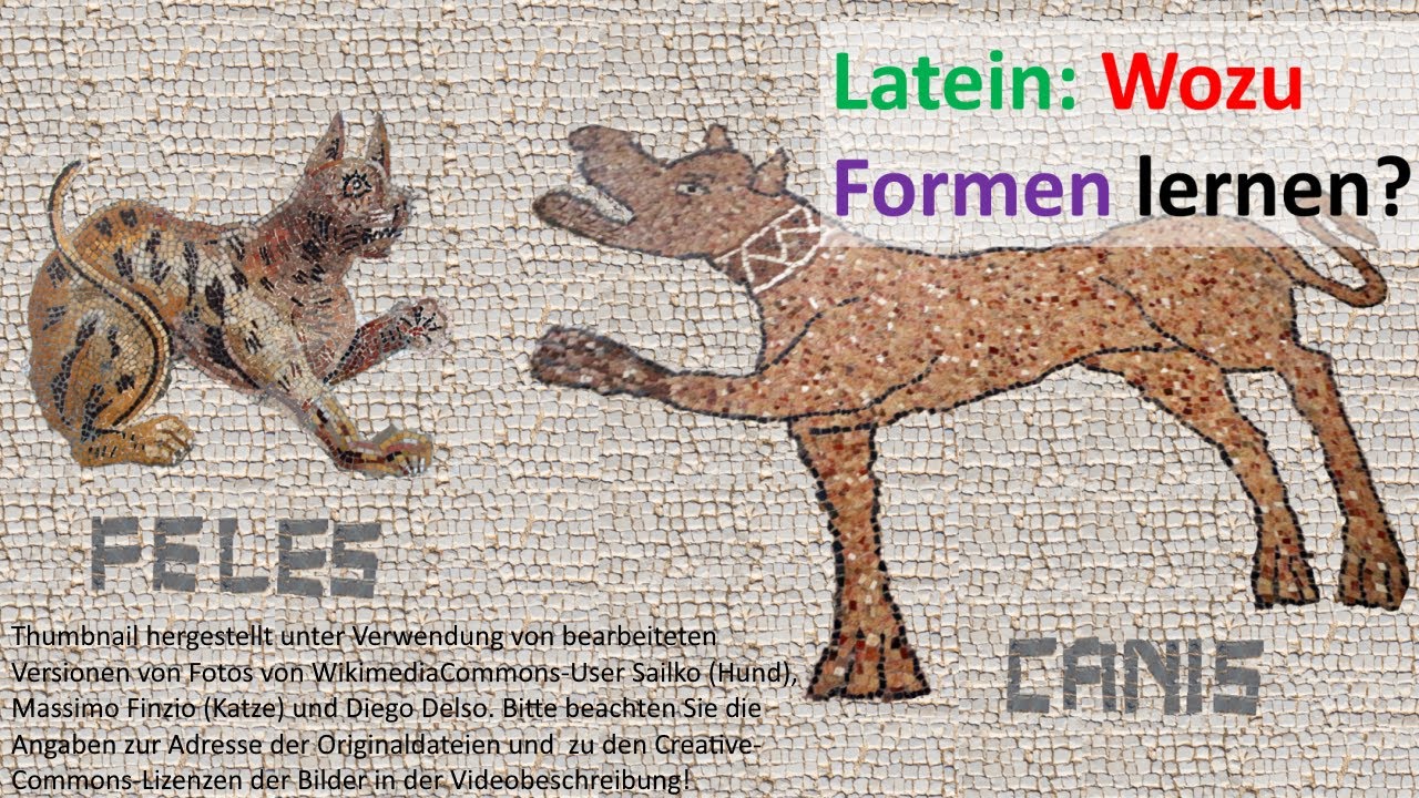 Latein: Wozu Formen lernen?