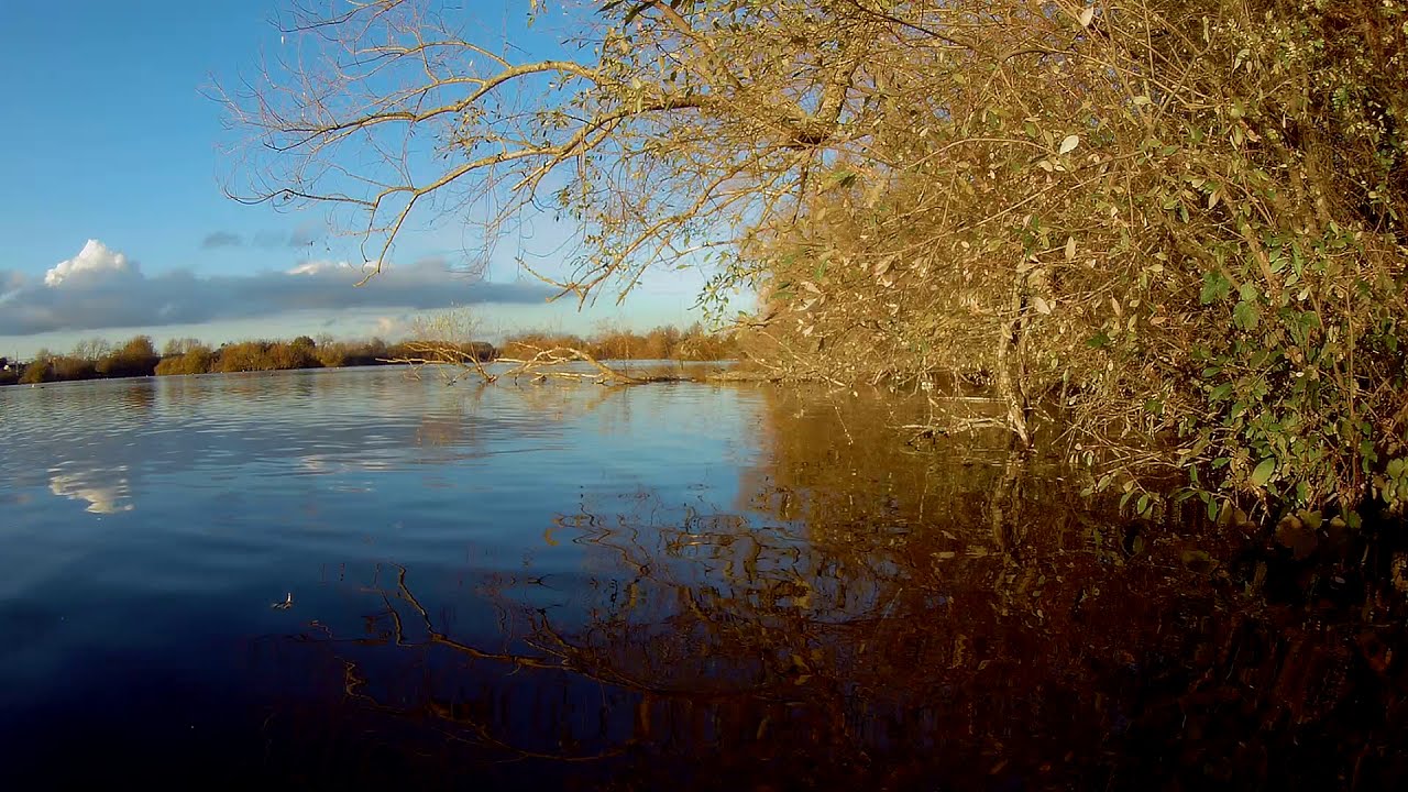 Bowyer's Water @ Lee Valley Regional Park