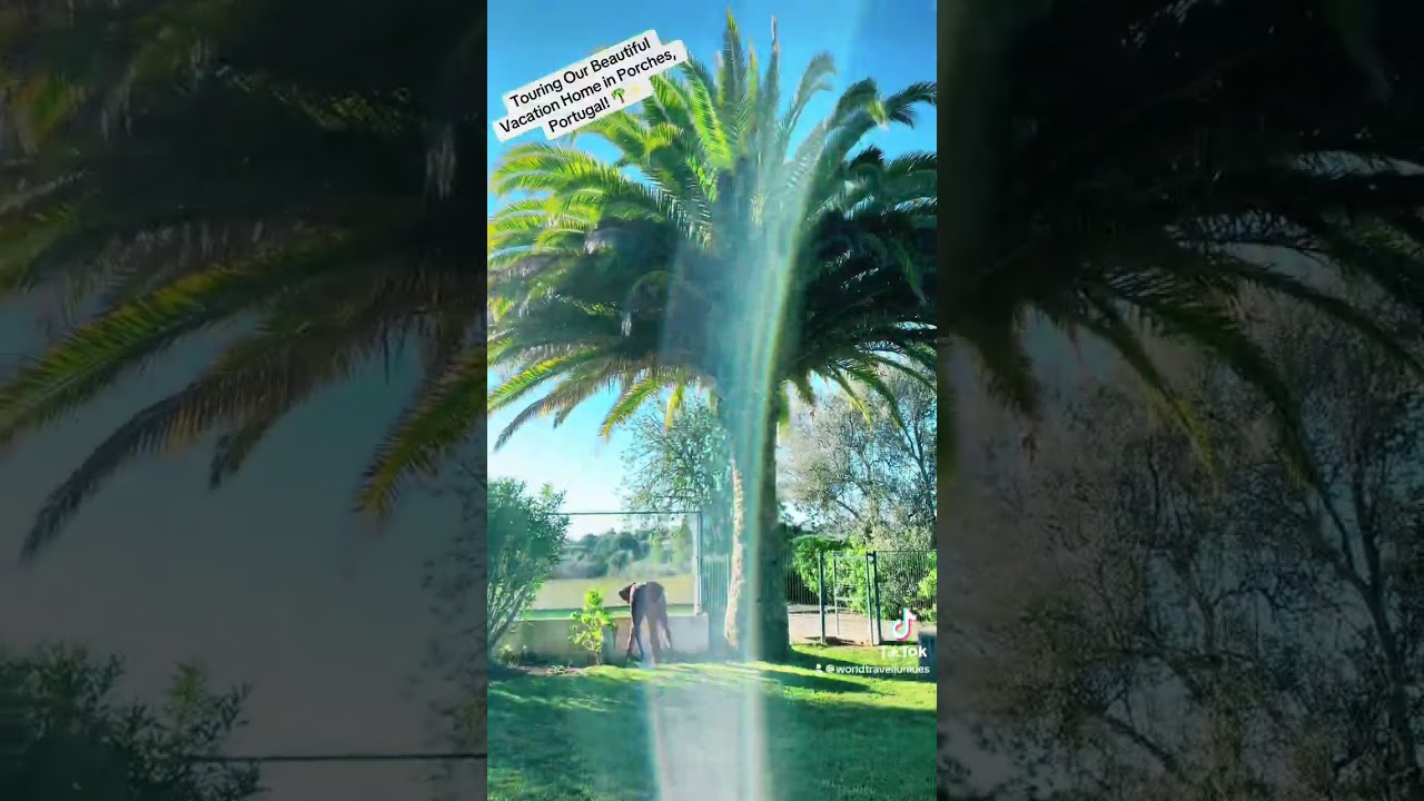 🌴Exploring Our Stunning Getaway in Porches, Portugal - A Dream Vacation Spot!