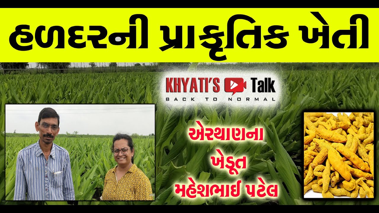 #SPNF | #New_Normal | Cow based Turmeric Farming | હળદરની પ્રાકૃતિક ખેતી | એરથાણ | મહેશભાઇ પટેલ