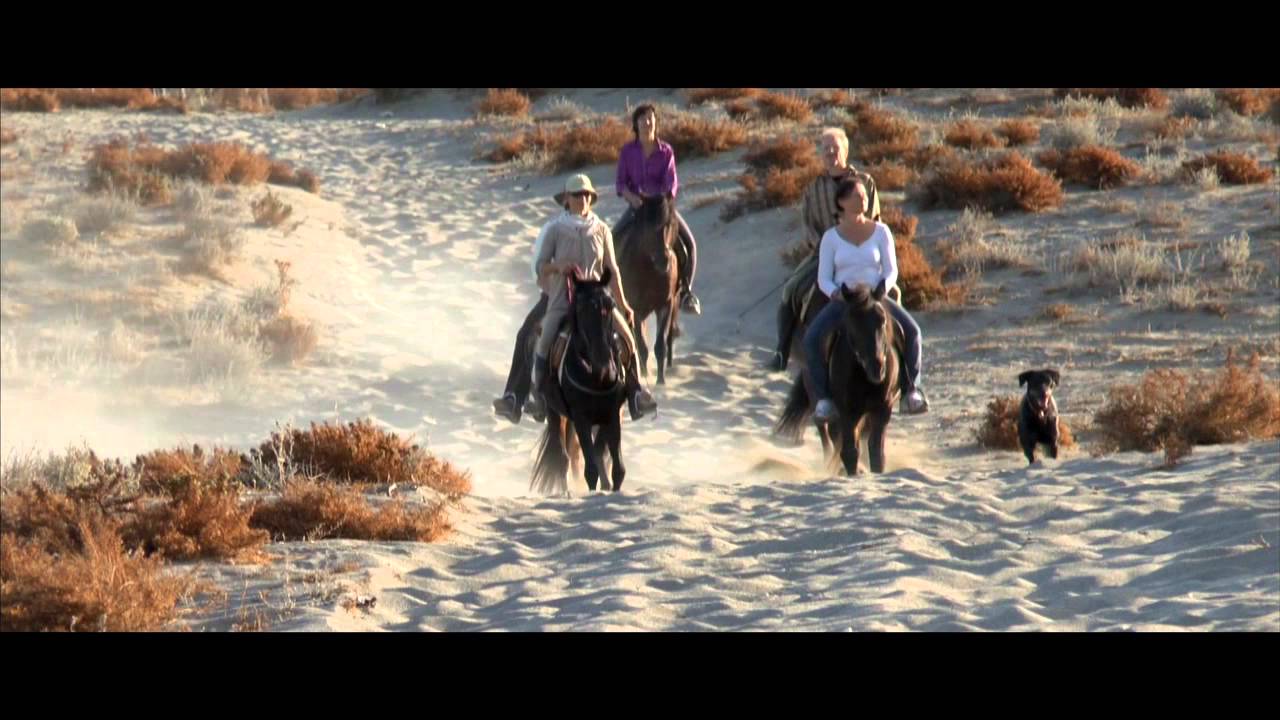 Reiten auf Kreta: Ein Tag auf dem Pferdehof Melanouri Teil 1