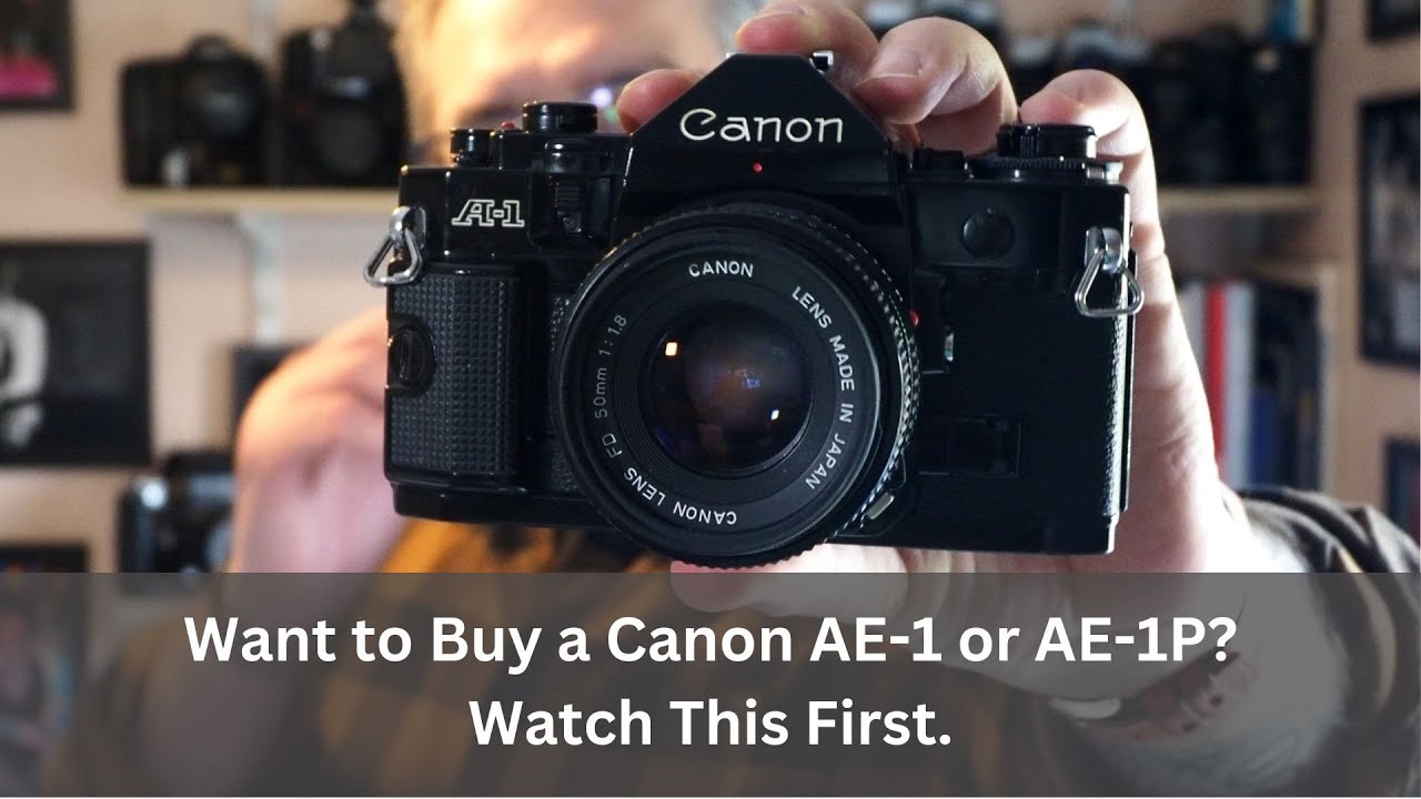 Canon A-1 в 2023 году — по-прежнему ли это лучшая камера Canon серии A? — С примерами изображений