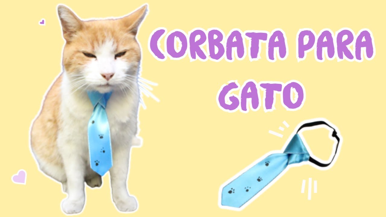 CORBATA PARA GATO 🐈 ¿CÓMO HACER UNA CORBATA PARA GATOS?