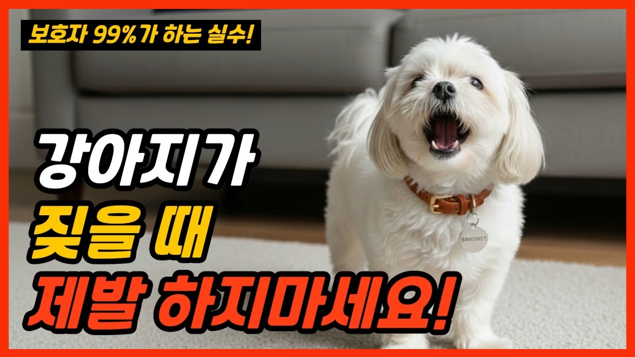 강아지가 계속 짖는 진짜 이유 7가지! | 보호자가 짖지마! 하면 계속 짖는 이유? 보호자 99%가 하는 행동!