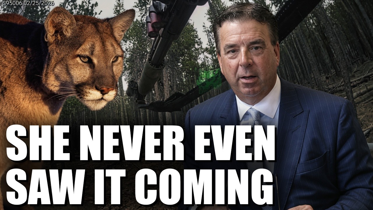 Criminal Lawyer Reacts to Cops Realize Killer Mountain Lion Is Hunting Them