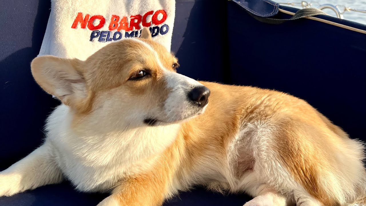 Estreia 4a temporada - NOVA TRIPULANTE | No Barco Pelo Mundo Ep. 158