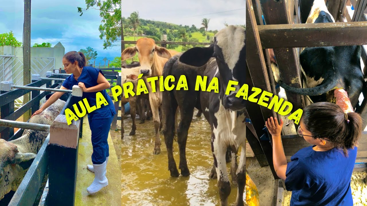 AULA PRÁTICA NA FAZENDA | Medicina Veterinária - Pérola Marques