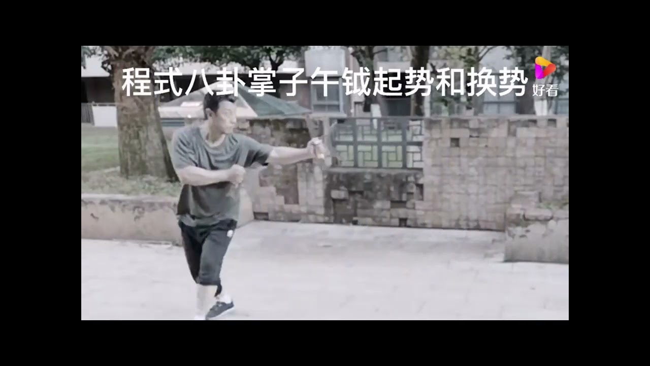 Cheng Style Bagua Zhang 程式八卦掌 - Mandarin Duck Knives 子午钺