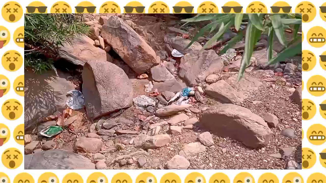 Chhattisgarh Surguja Tourism place Budhaama (Batauli) Picnic Vlog
