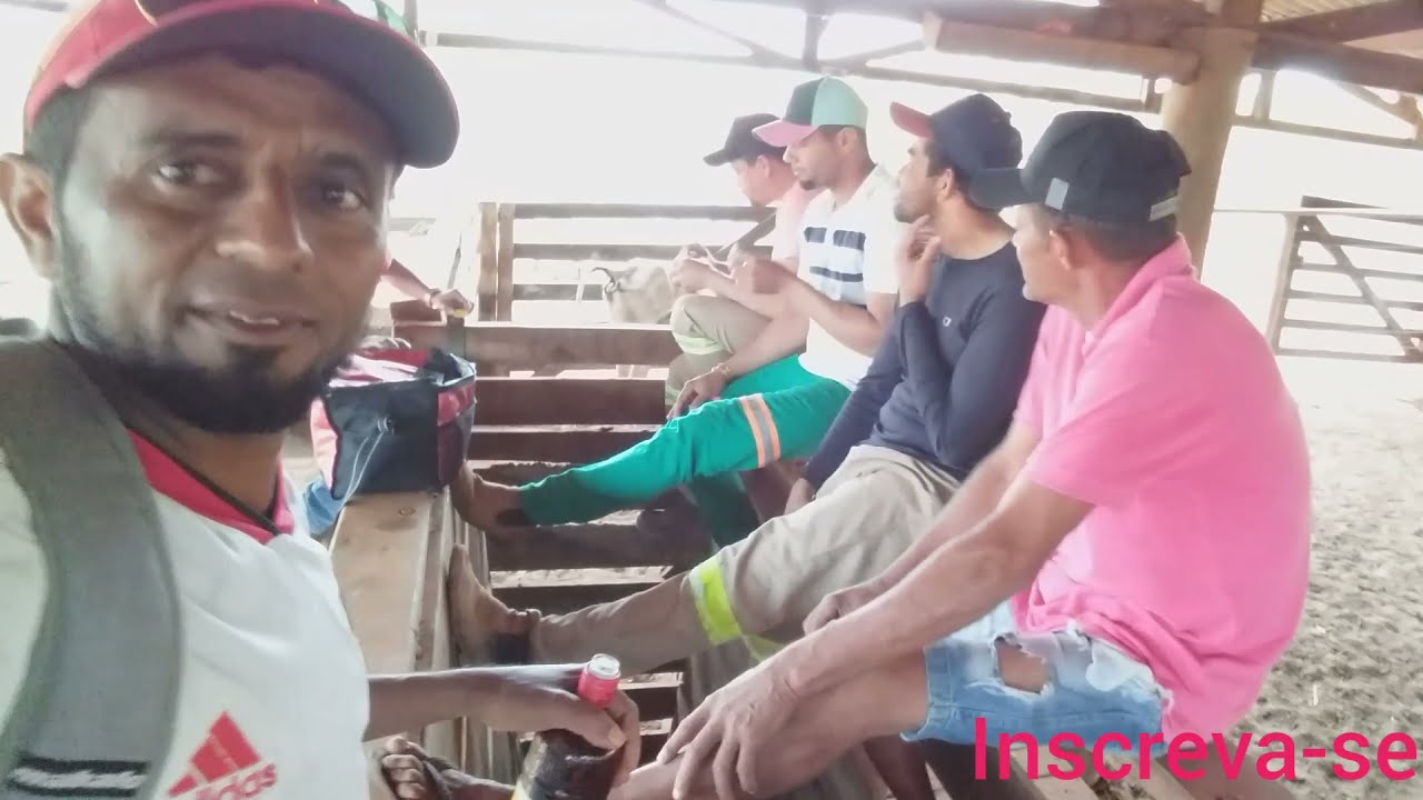 Vaqueiros esperando a carreta pra embarcar o gado só resenha kkkk.