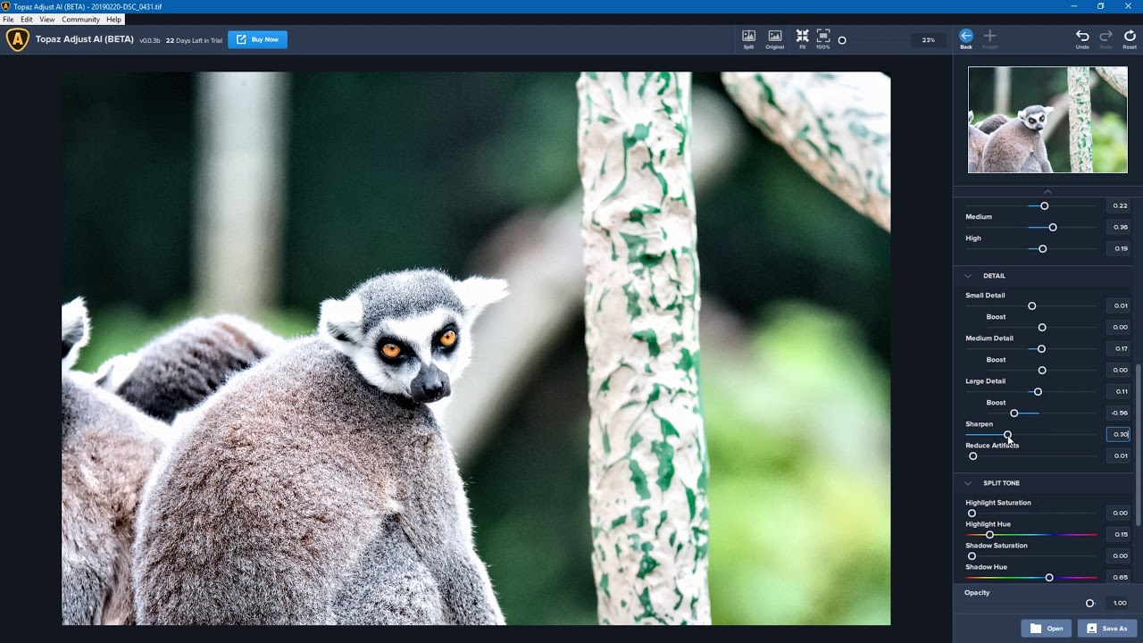 Topaz Adjust AI