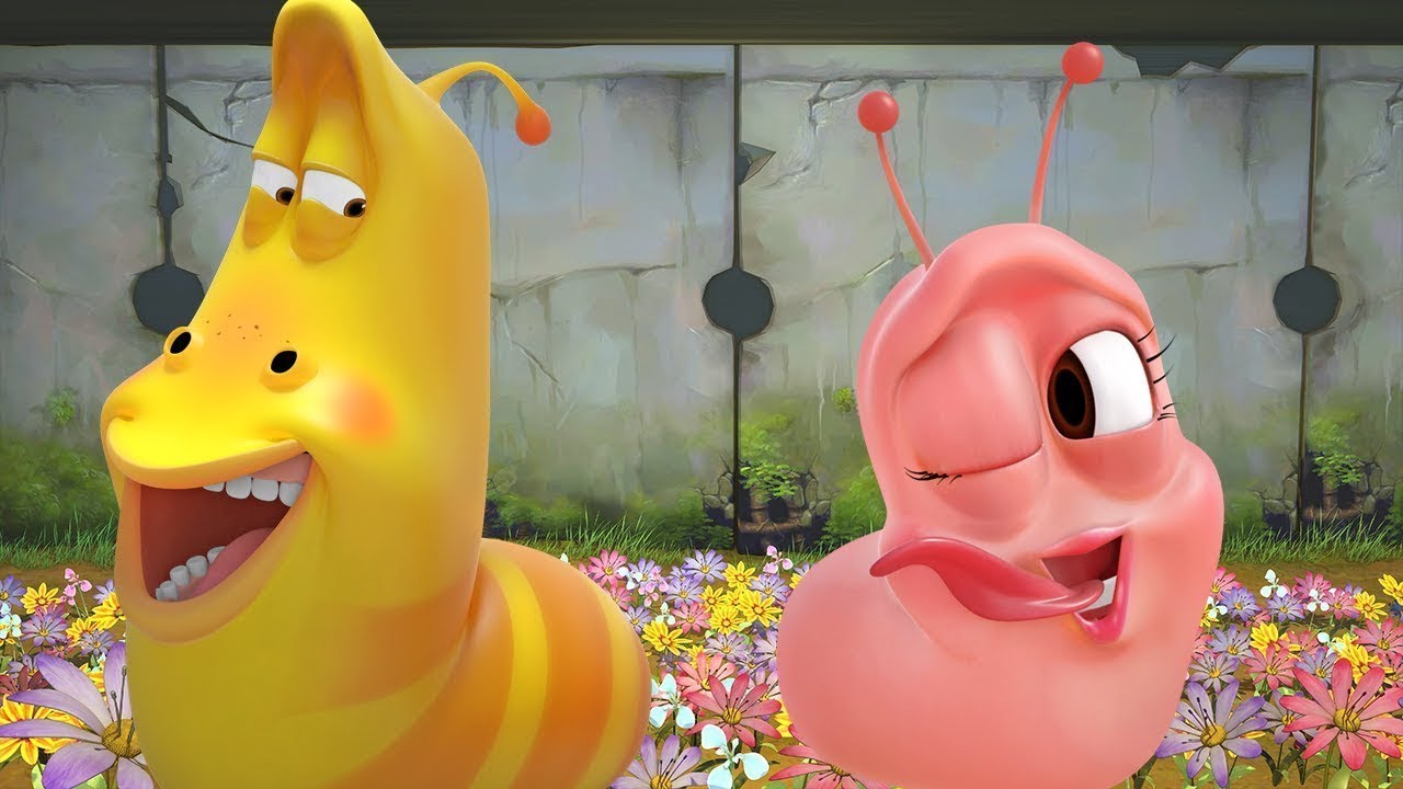 LARVA - Rosa kärlek | Tecknad film | Tecknade barn för barn | Larvtecknad | WildBrain