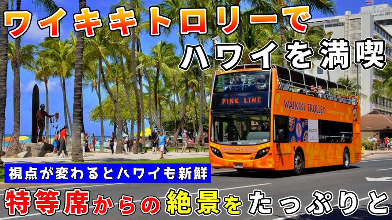 ［2023最新版］新ルートも完全ガイド！ワイキキの街をトロリーバスからお届け！ピンクラインでワイキキをぐるっと一周！【ハワイ最新情報】【ハワイの今】【ハワイ旅行2023】【HAWAII】