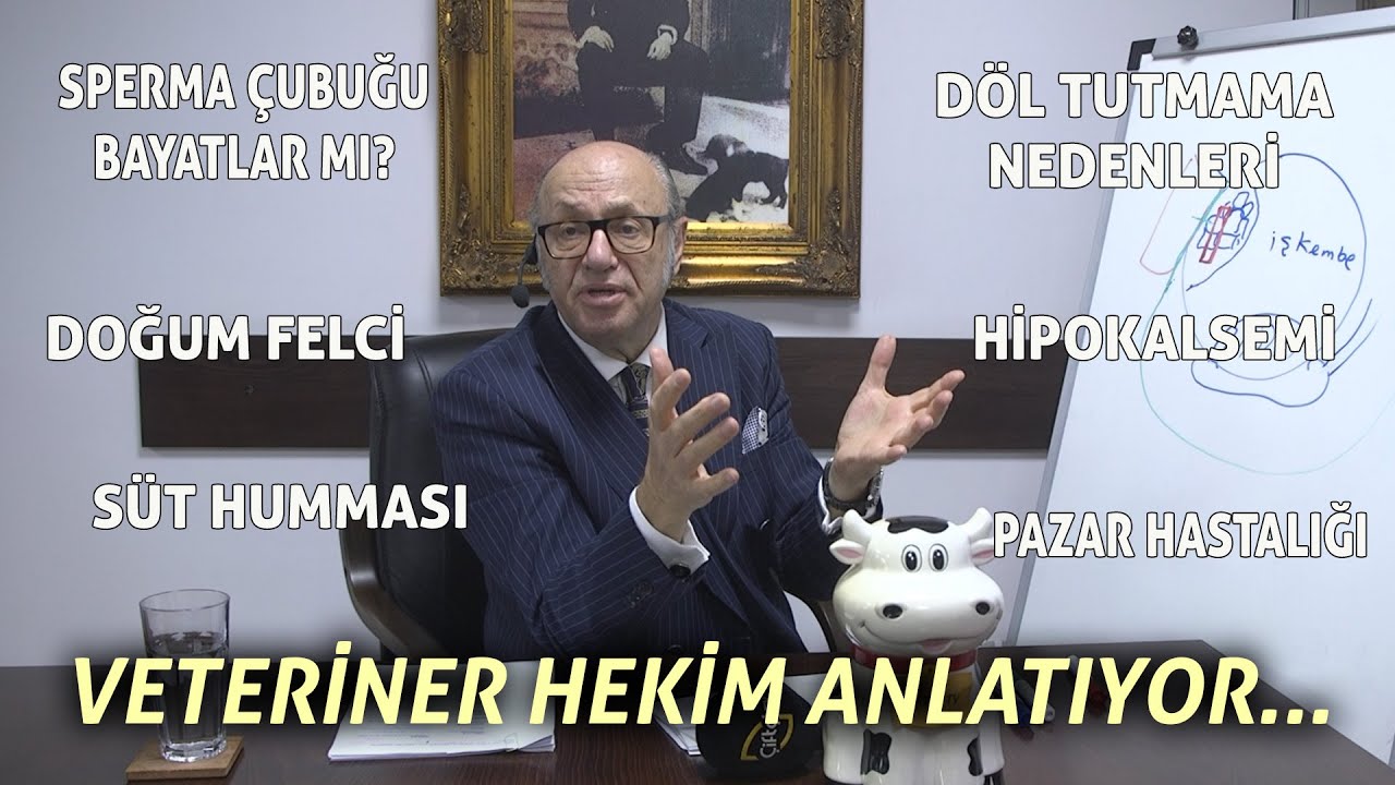 Veteriner Hekim Tahir Yavuz Sizden Gelen Soruları Cevaplıyor... - Dersimiz Hayvancılık
