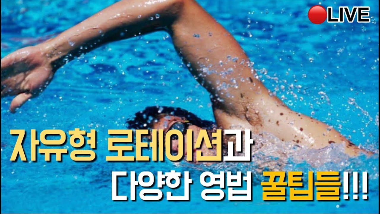 자유형 팔돌리기, 로테이션 다양한 영법 꿀팁 알려드릴게요!!!🎄