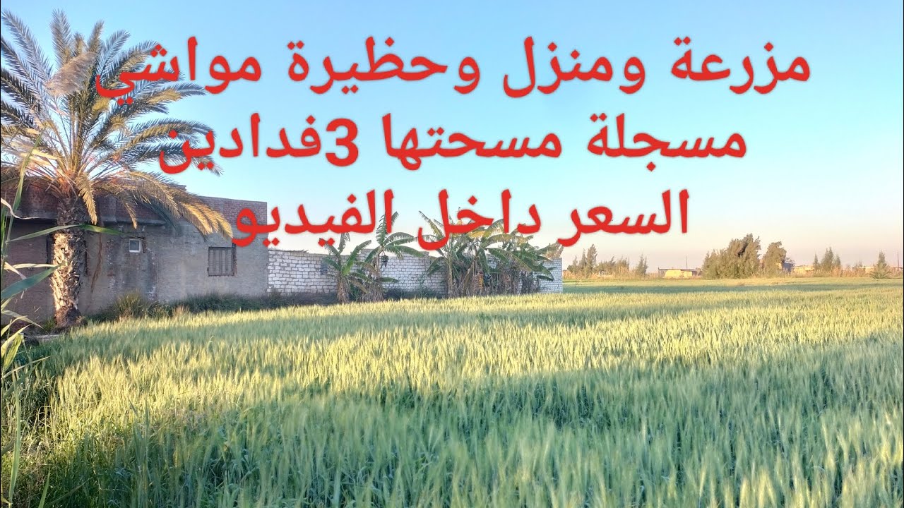 مزرعة بها منزل وحظيرة مواشي مسجله أرض زراعية على أعلى مستوى بتزرع كل المحاصيل وفيها كهرباء ومياه