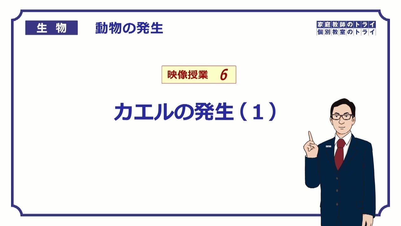 【高校生物】　動物の発生6　カエルの発生（１）（２１分）