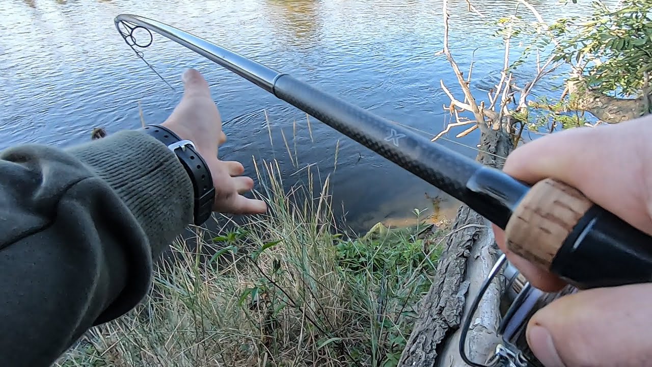 Si j'avais su... Pêche de la CARPE en LOIRE
