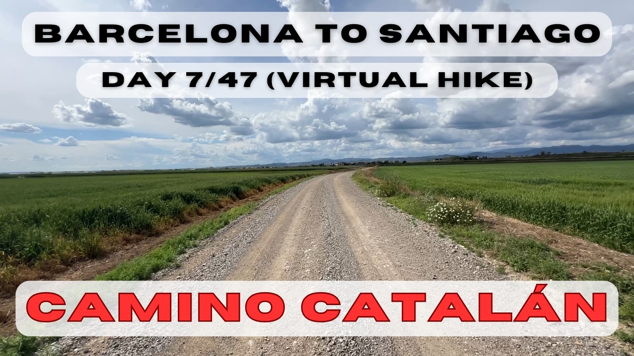 Day 7: Barcelona to Santiago - Tàrrega to Balaguer (Camino Catalan, Aragones, Frances; 4k)