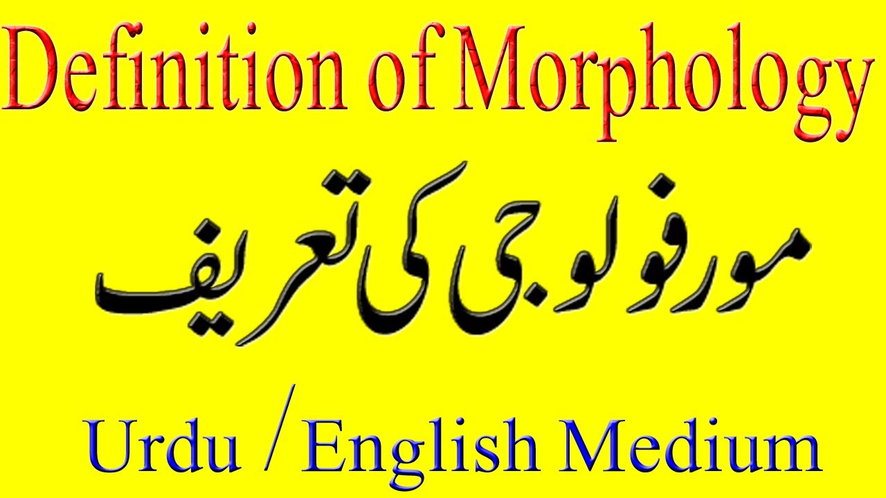 What is Morphology? | Definition, Examples, & Branches of Biology | Urdu + Hindi
