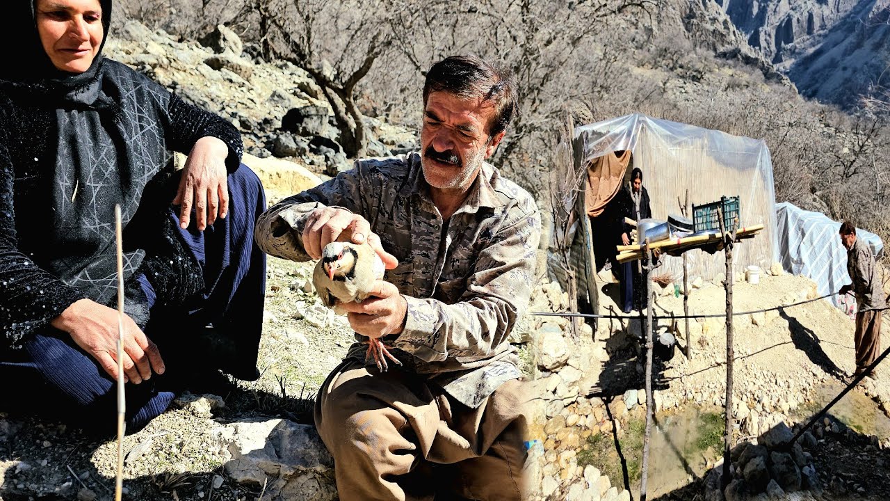 From freeing a bird🦜 to helping a nomadic neighbor; a real day in our lives in the tribe