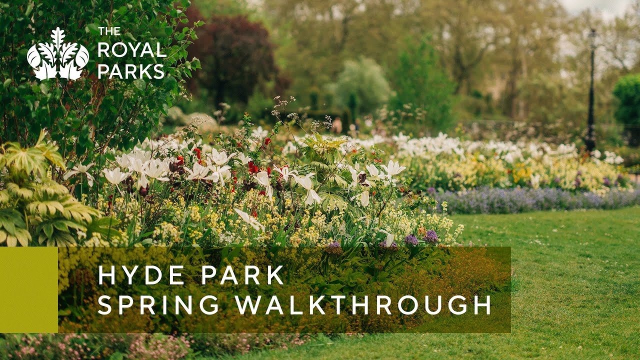 Hyde Park in London spring walkthrough | The Royal Parks