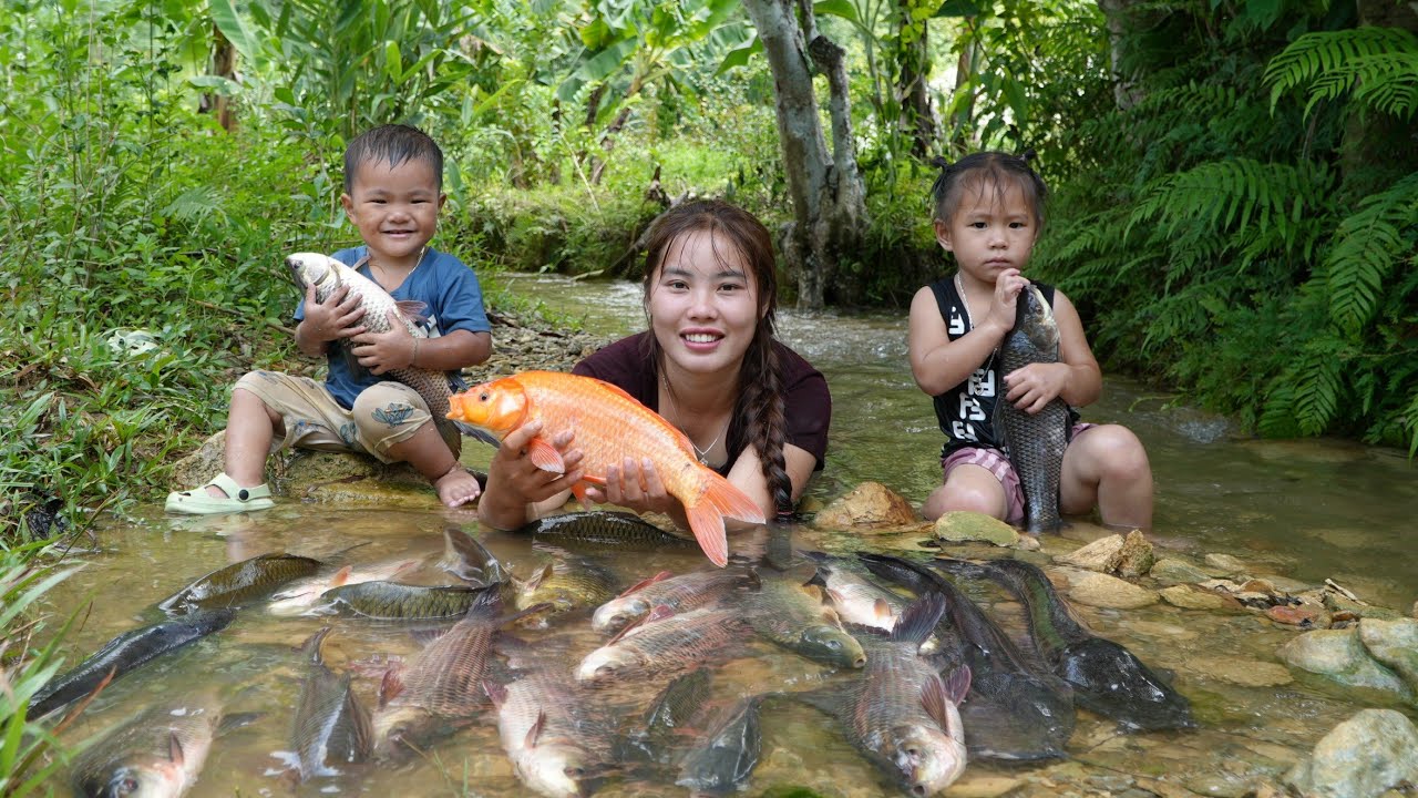 30 Days and nights with my children catching fish, trapping fish on rainy days to sell at the market