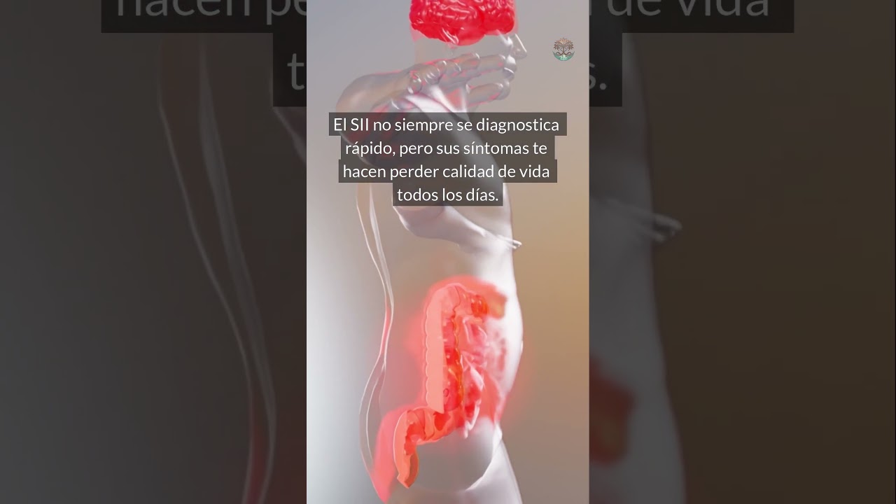 El colon irritable es más común de lo que crees y muchos no saben que lo tienen. 