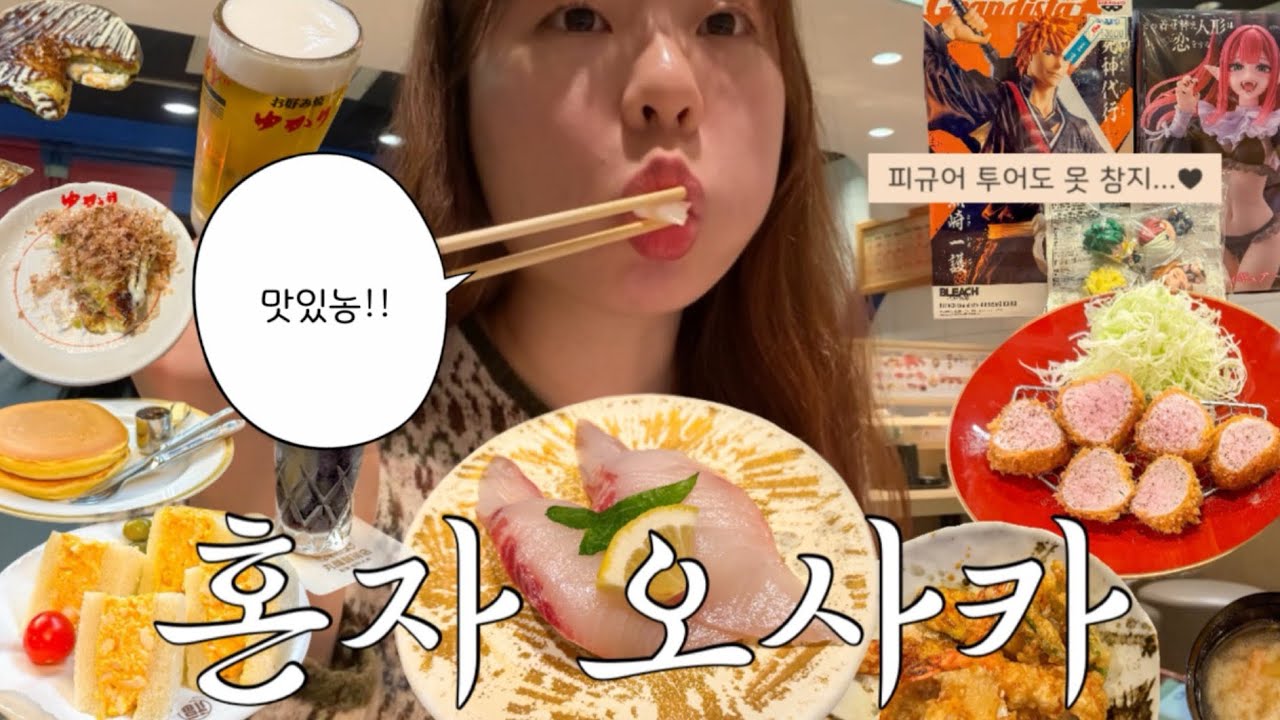 침묵의 2박 3일 혼자 일본오사카여행 | 일본오타쿠투어 덴덴타운 중고피규어 오사카맛집 킷사텐 우메다백화점 우메다신사 도톤보리 
