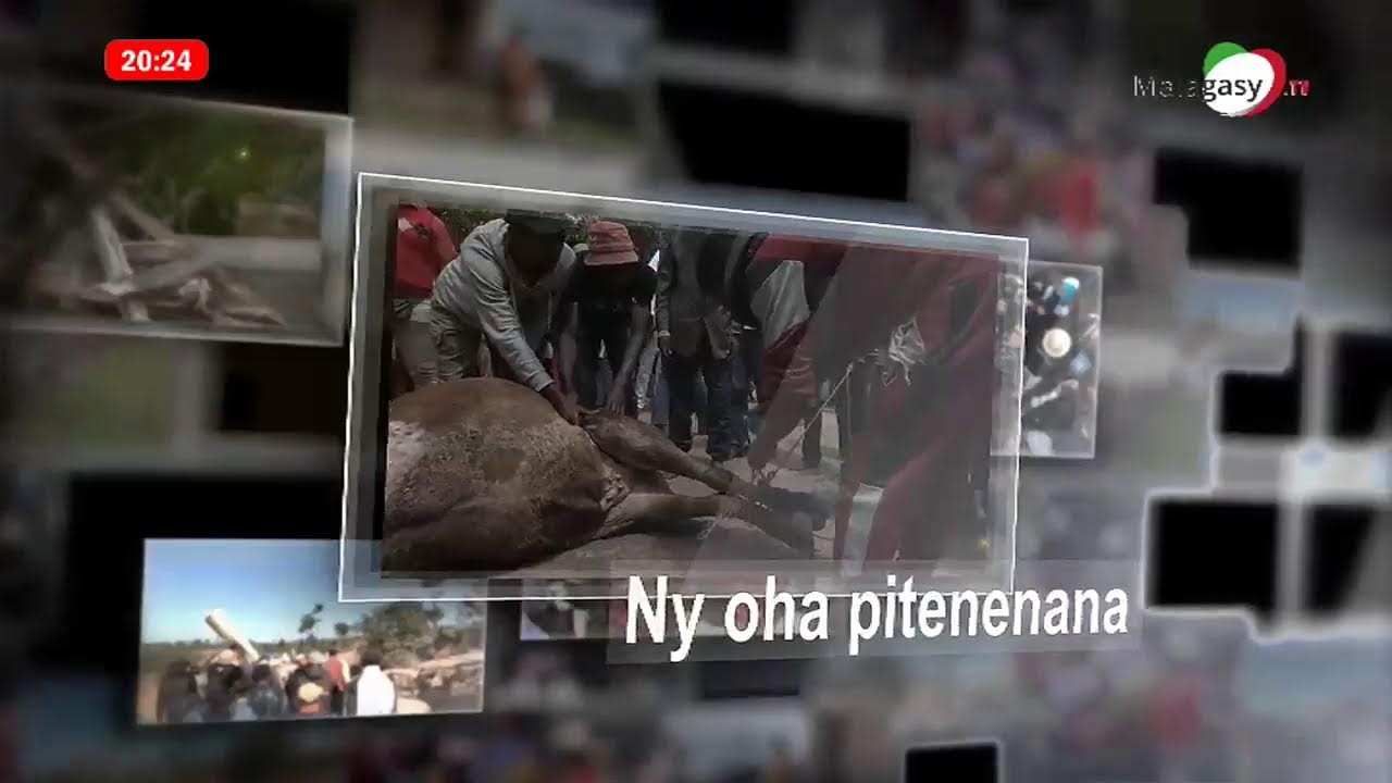 Famoha 15 Novembre 2023