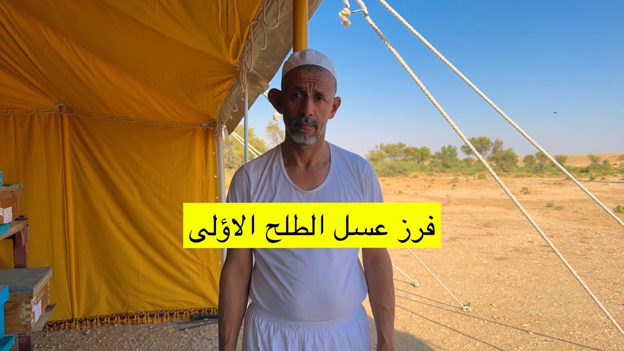 فرز عسل 🍯 الطلح الفرزة الاؤلى مع زعيم النحالين ابوسلمان