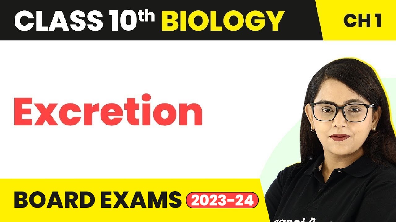 Excretion - Life Process | Class 10 Biology