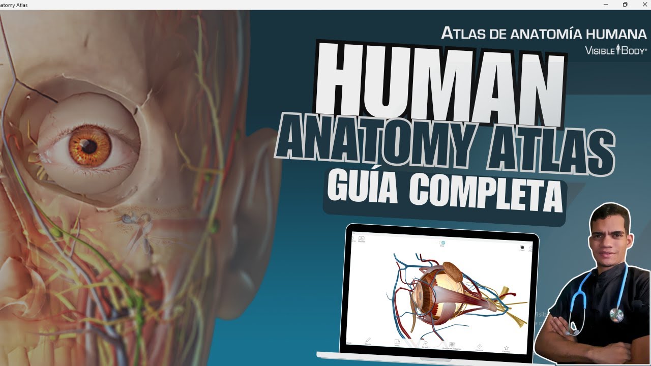 🧠💻 Explora el Cuerpo Humano en 3D: Atlas de Anatomía GRATIS para PC (¡Ideal para Estudiantes!)