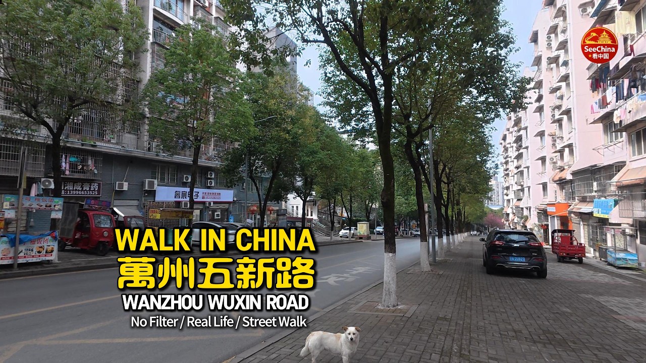 Walking in Wanxing Road,Wanzhou,Chongqing,China 🇨🇳 | Real Street Life 2026 | 中國重慶萬州五新路 | 2026真實街頭實拍