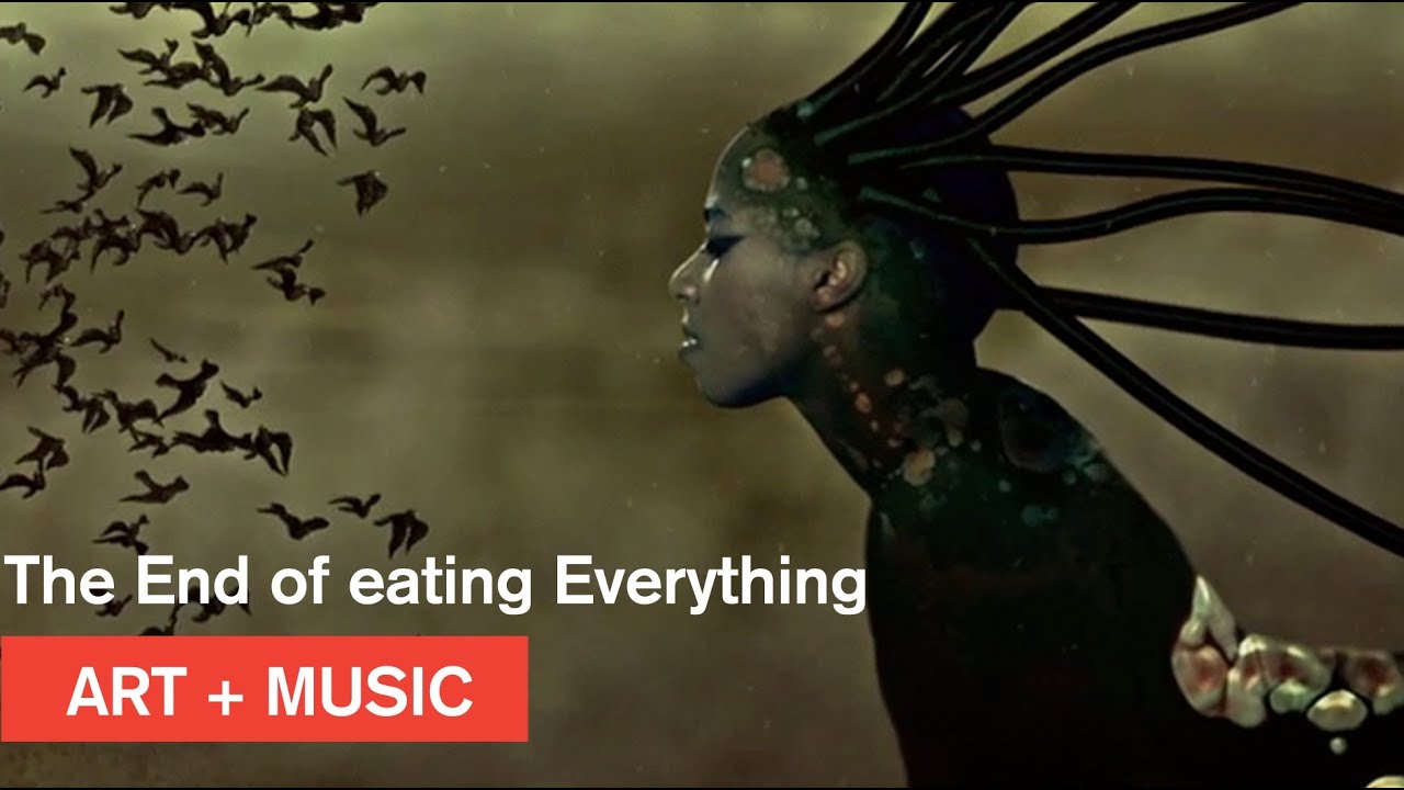 Wangechi Mutu + Santigold - The End of eating Everything - Nasher Museum at Duke