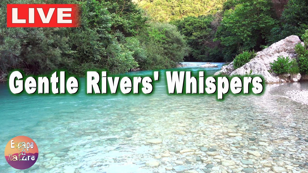 🔴 Gentle Rivers' Whispers -  Nature's Lullaby for Sleep, Meditation, Relaxation